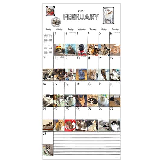 2027 Cat-A-Day Wall Calendar